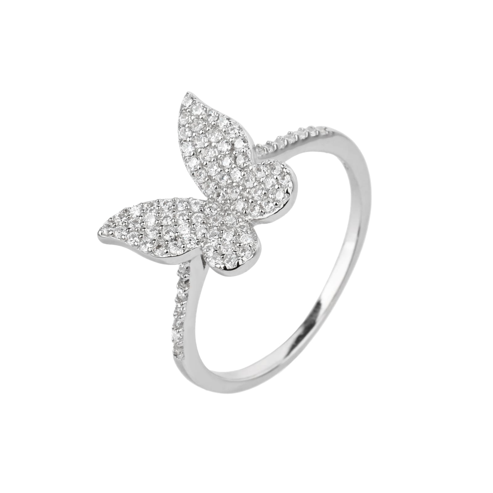 1736247954_1693578891_IMG_7087-1